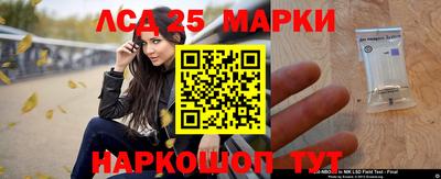 метадон Сланцы