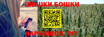 метадон Сланцы
