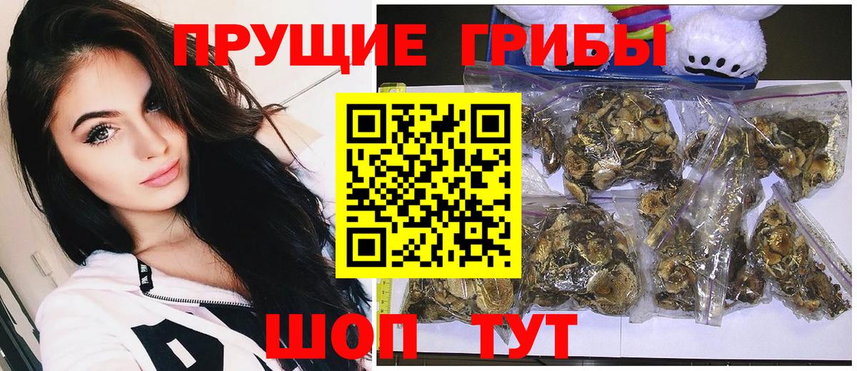 Псилоцибиновые грибы прущие грибы Алексин