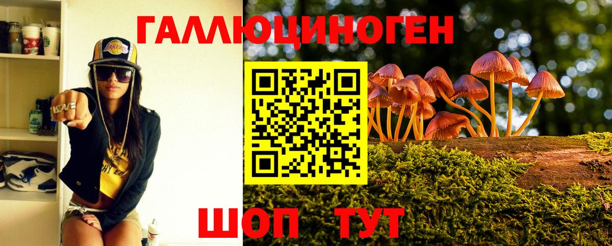 Алексин  Псилоцибиновые грибы GOLDEN TEACHER  Псилоцибиновые грибы Psilocybe  Вход с VPN 