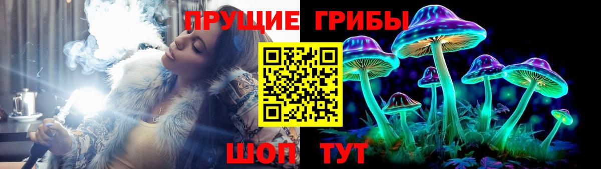 Codein Алексин